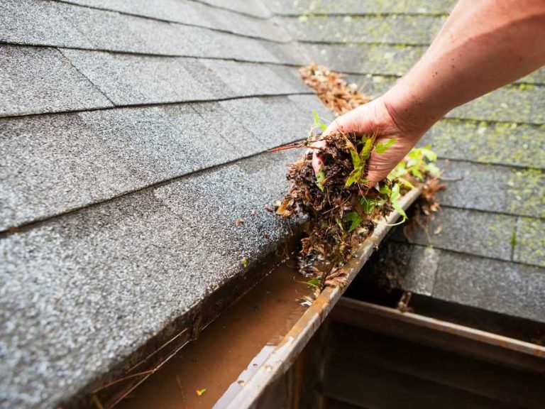 Do I Need Gutter Guards?