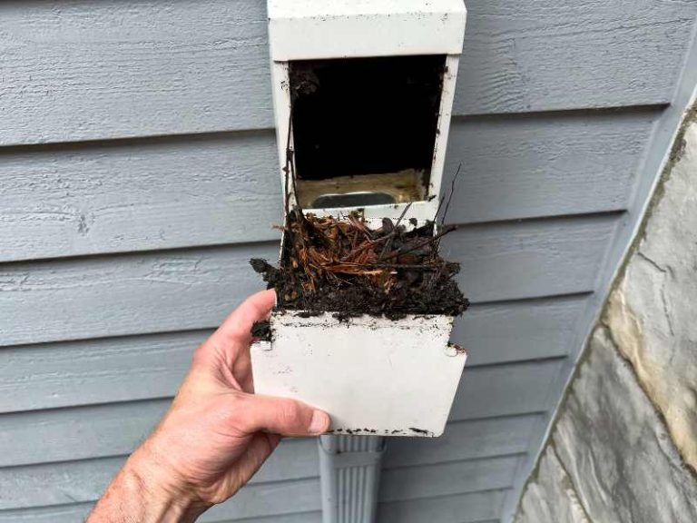 LeafFilter vs LeafGuard: Which Is Better for Your Home?