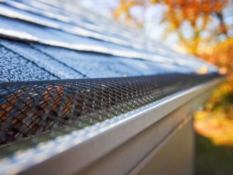 What Are the Alternatives to Traditional Gutters?